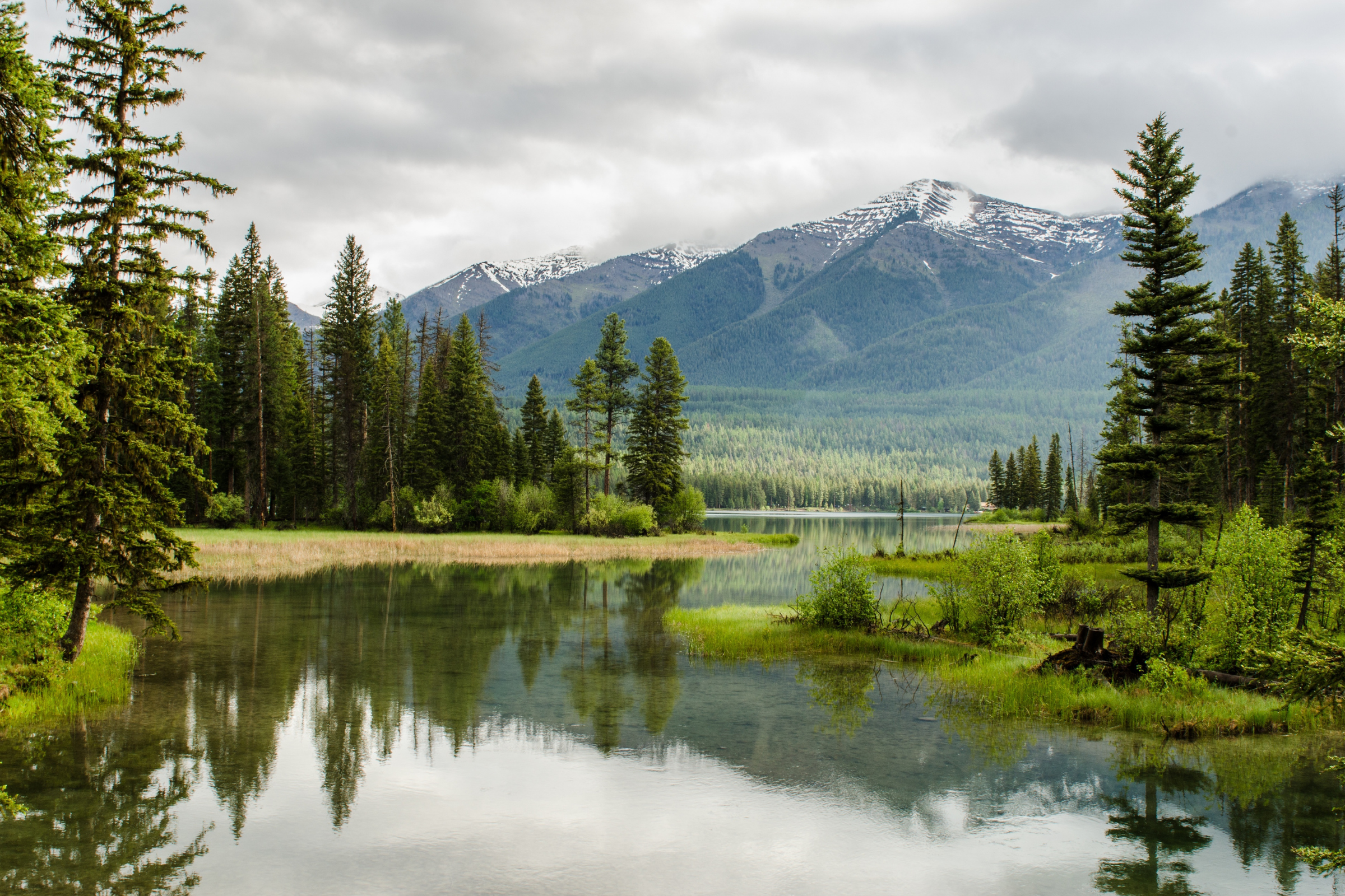chenderoh lake (2).webp